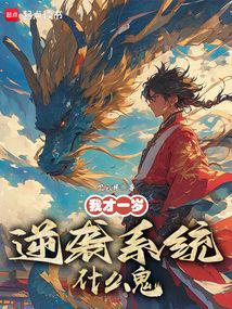 �Ҳ�һ�꣬��Ϯϵͳʲô����