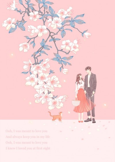 ����ȫ���Ķ�