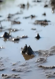 ���ܣ��㱻���ⶢ����